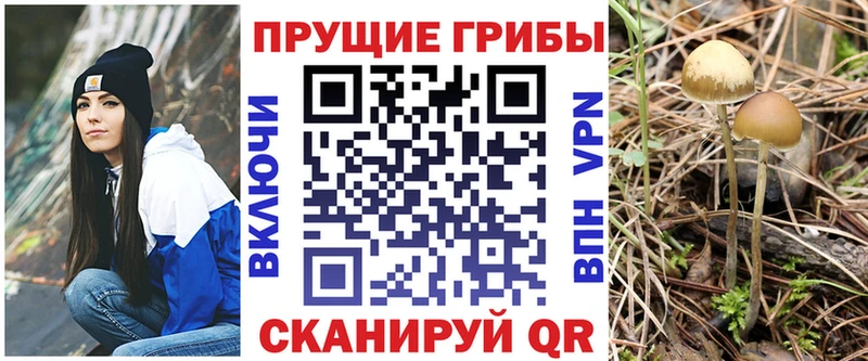 дарнет шоп  МЕГА tor  Псилоцибиновые грибы Cubensis  Чулым 