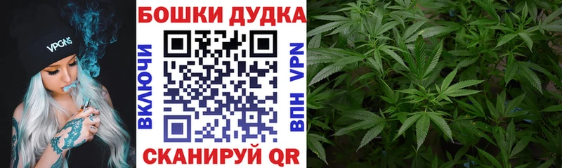 купить закладку  Чулым  Бошки марихуана конопля 